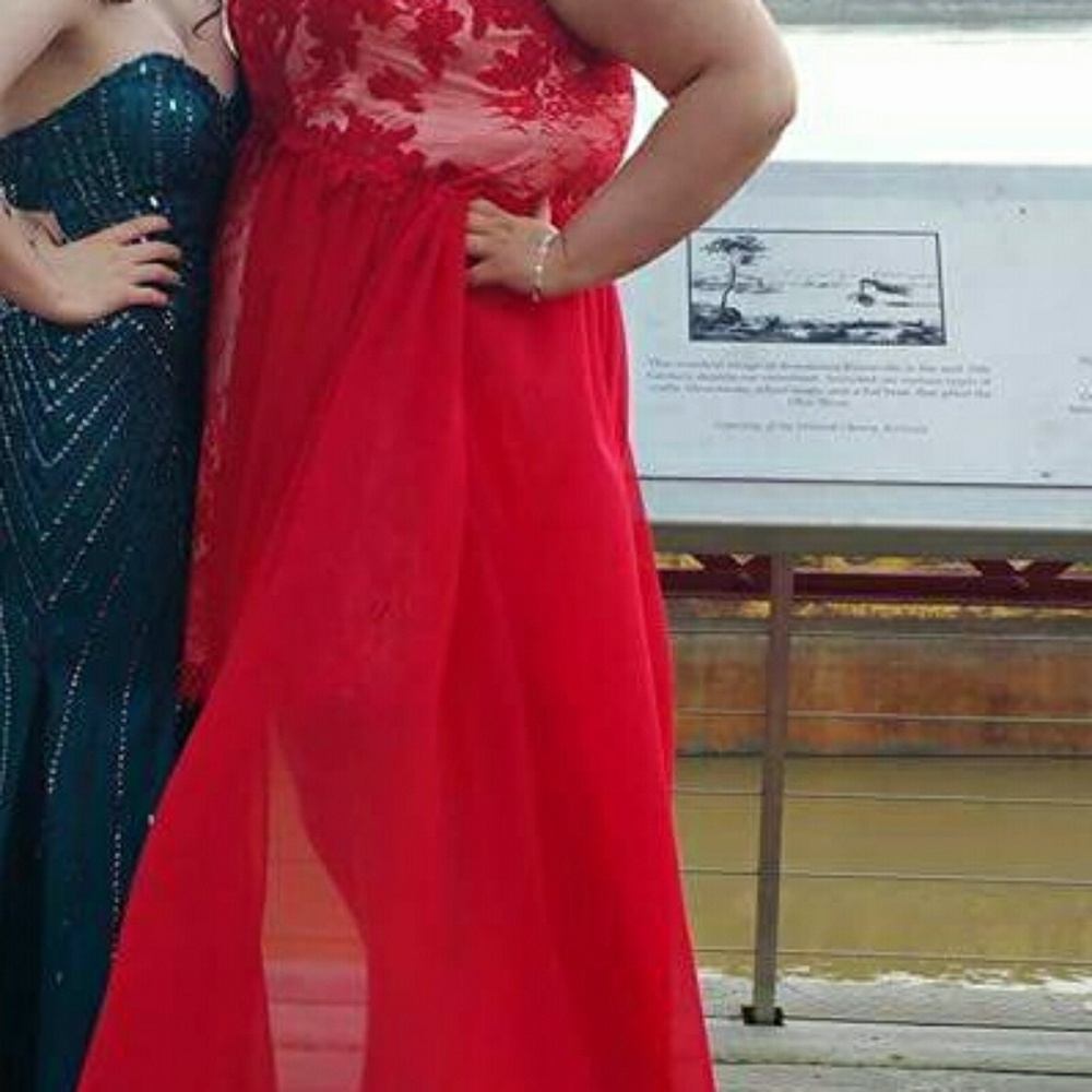 Plus Size Prom Dress - Picture 4 of 5
